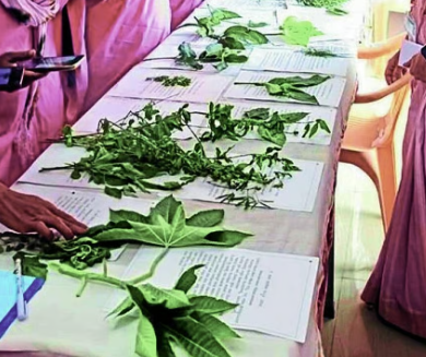 Chitrakoot Ayurveda Festival to be held on October 4