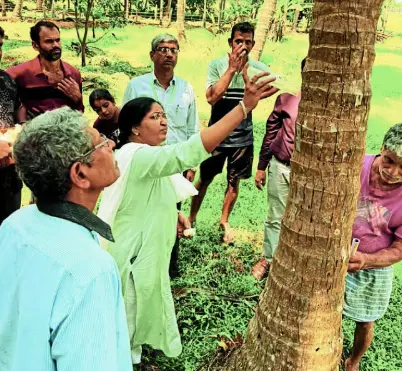 Horticultural crops also affected by pests, farmers in distress