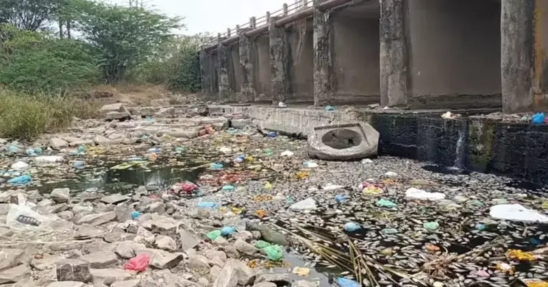 Mass fish deaths in Kamalavathi river raise pollution concerns