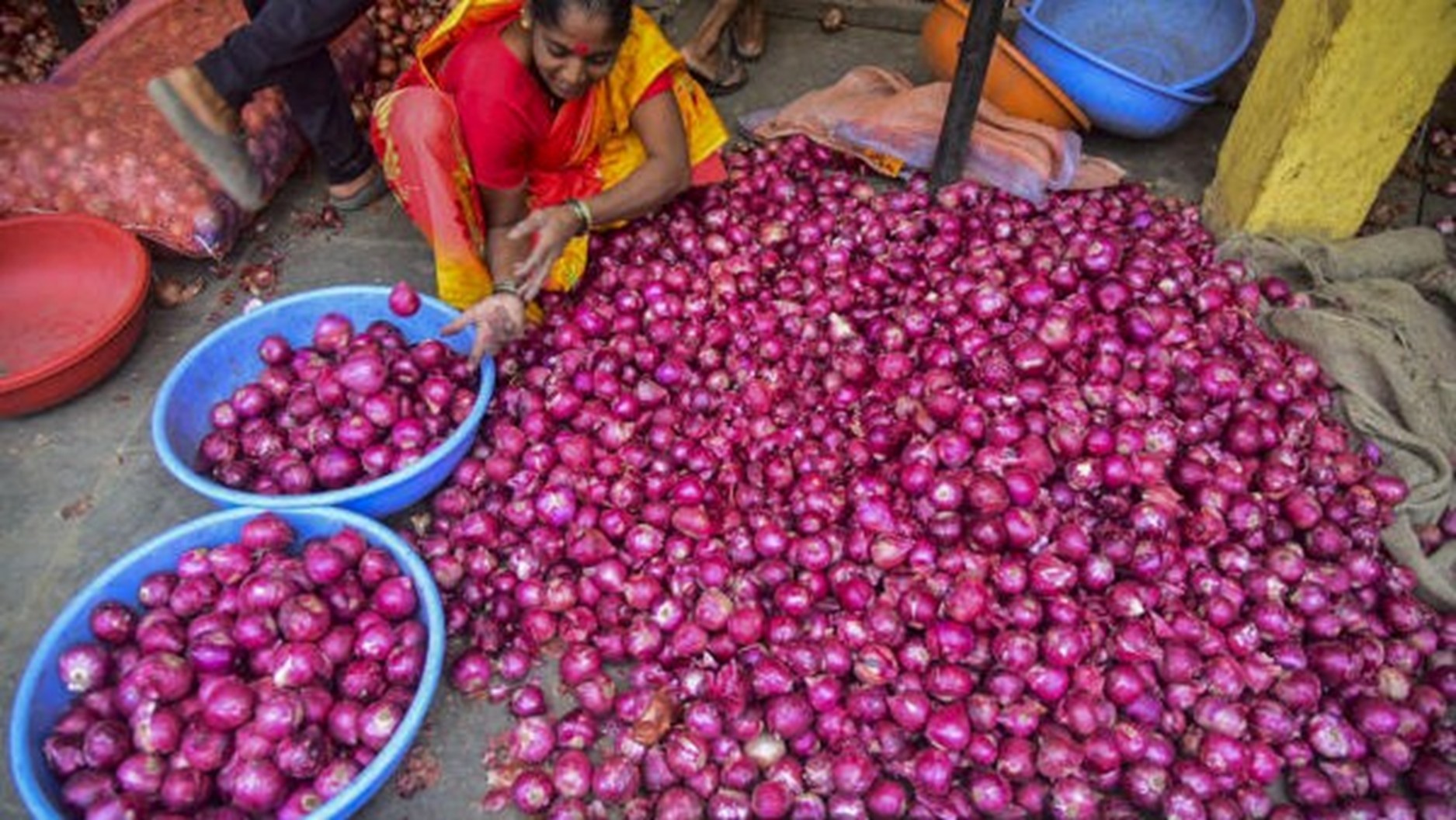 Subsidised Onion Sale