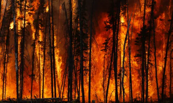 The Rise of Wildfire-Related Air Pollution