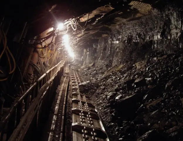 Government auctions three coal blocks for investments
