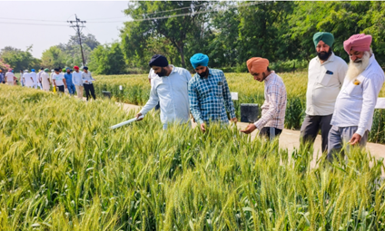 Soil carbon payments reach 2,550 farmers