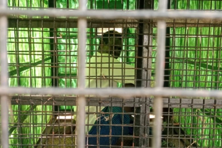 Man Trapped for Four Hours Inside Leopard Cage Near Gangavadi