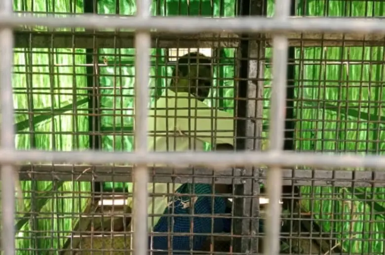 Man Trapped for Four Hours Inside Leopard Cage Near Gangavadi
