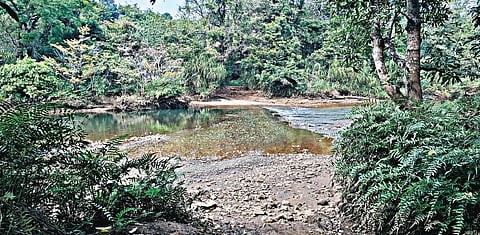 Sharavathi Hydro Project Sparks Environmental ConcernsHonnavar