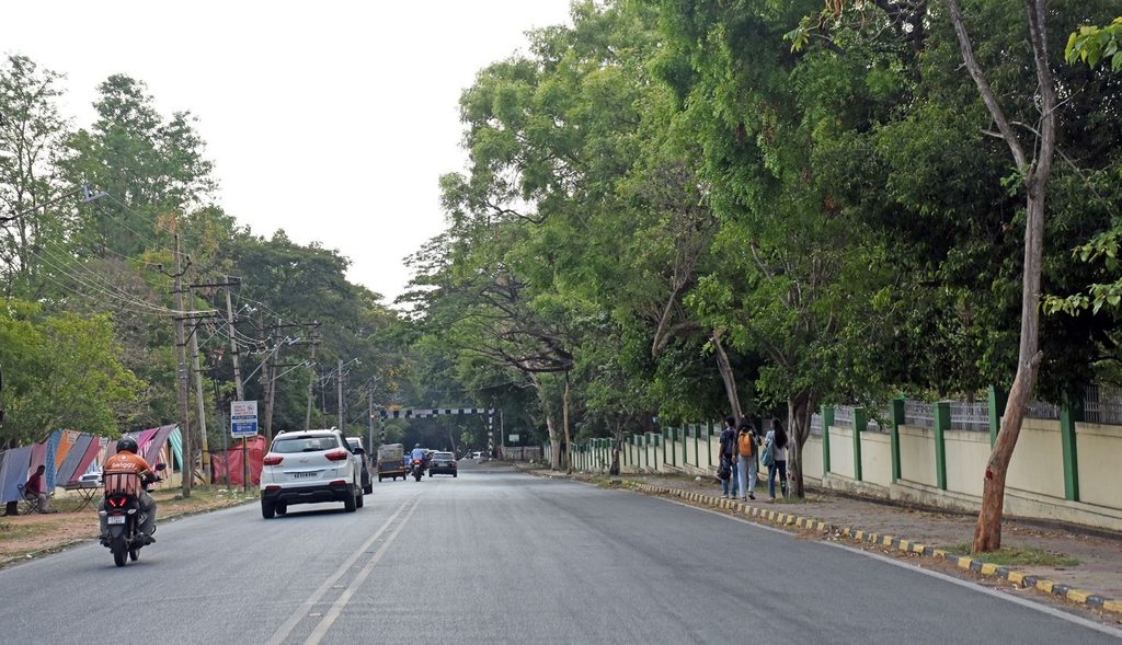 Forest Dept invites objections to remove 33 trees for RuB near Kukkarahalli Lake