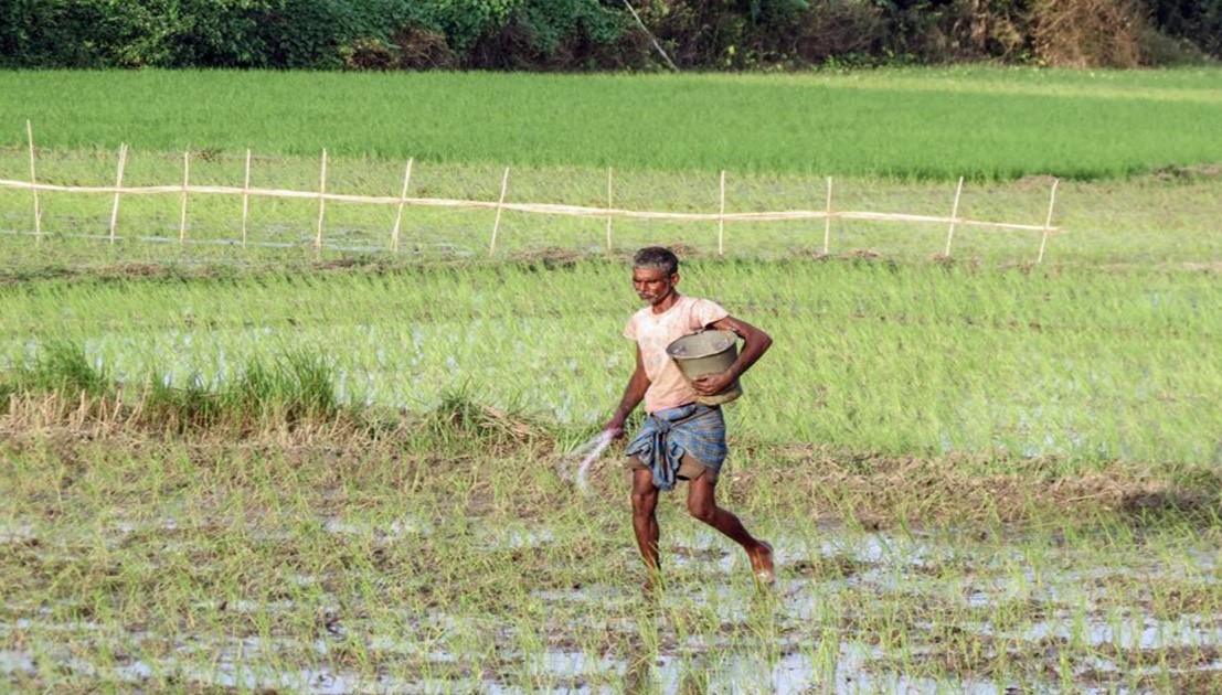 Triple threat looms over India’s farming sector