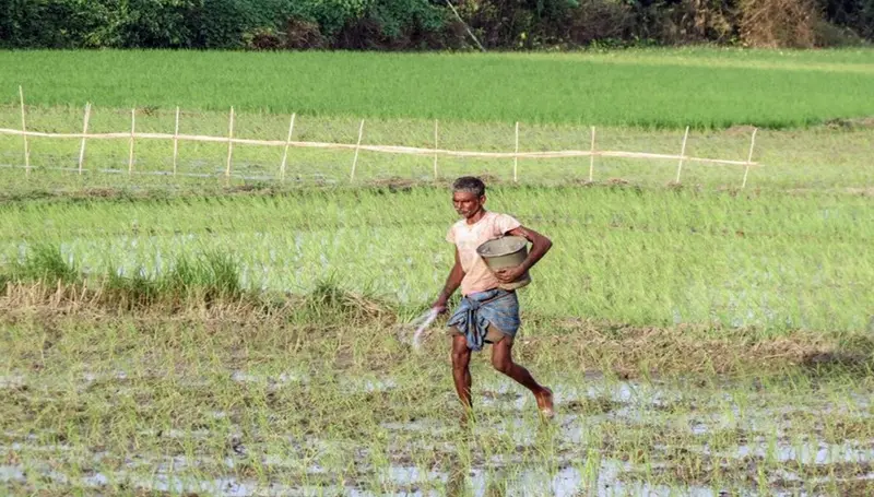 Triple threat looms over India’s farming sector