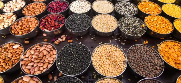 Haryana to procure pulses, oilseeds at 100 centres