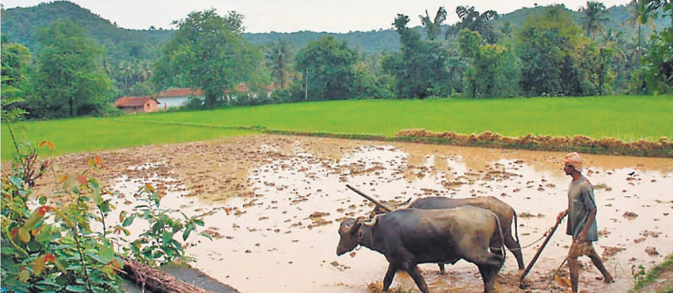 Farmer ID registration gathers pace in coastal Karnataka