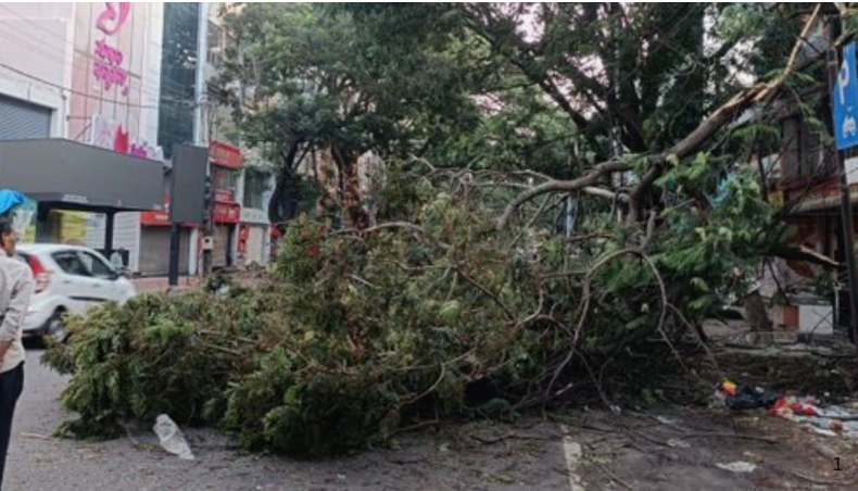 After the storm, chaos lingers as city struggles to clear debris