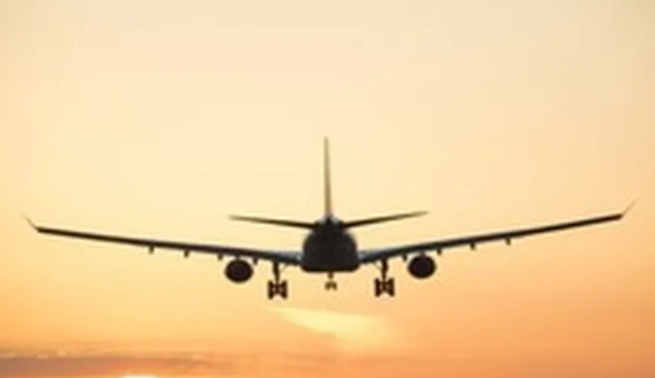 Parliamentary Panel May Summon Airline Officials Amid IndiGo Flight Disruptions
