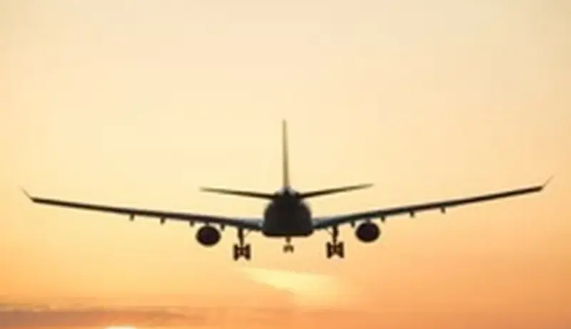 Parliamentary Panel May Summon Airline Officials Amid IndiGo Flight Disruptions
