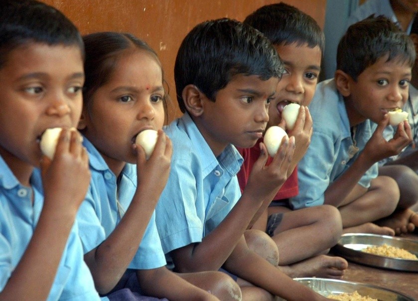 "School Egg Consumption Dips in Shravana"