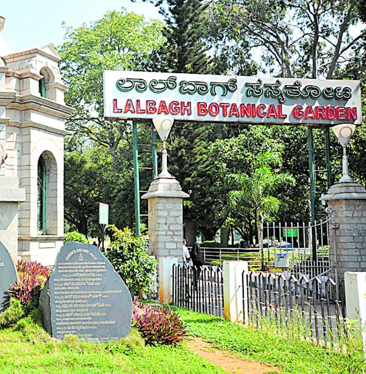 No proper study done near Lalbagh for tunnel road: Expert panel