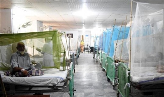Dengue cases rise