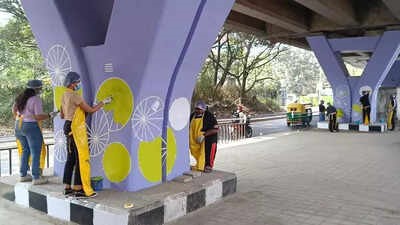 Volunteers clean and paint Agara flyover