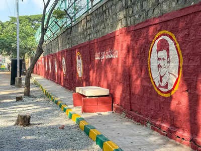 Volunteers Give Garbage Hotspot Complete Makeover