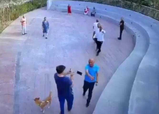 Dog Walk Row Sparks Clash at Bengaluru Apartment