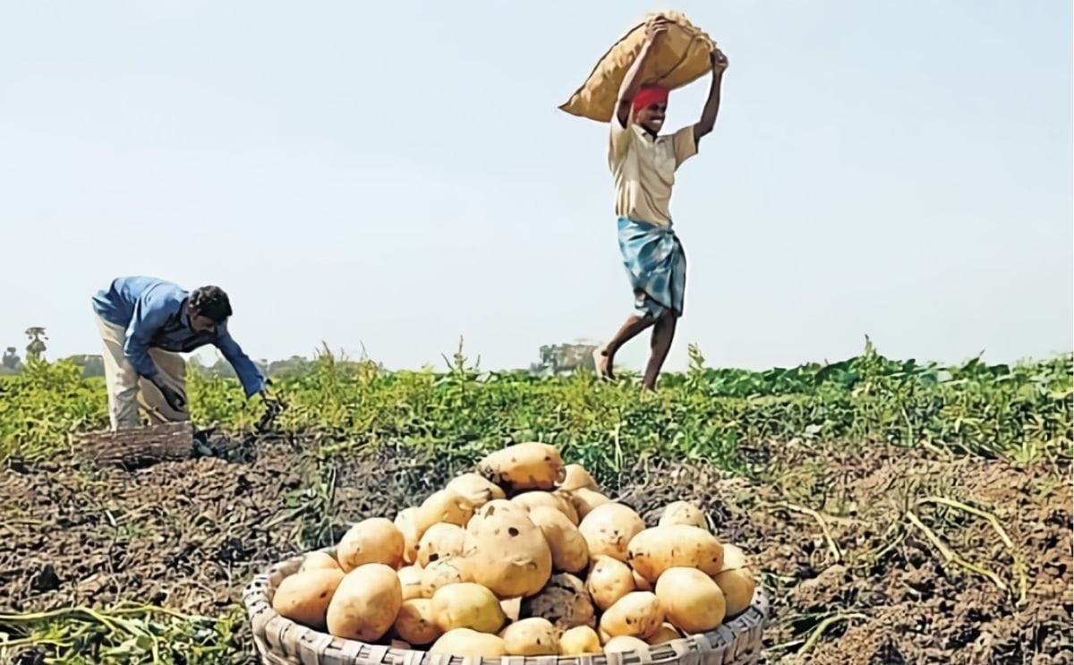 Govt approves major crop buyouts for farmers