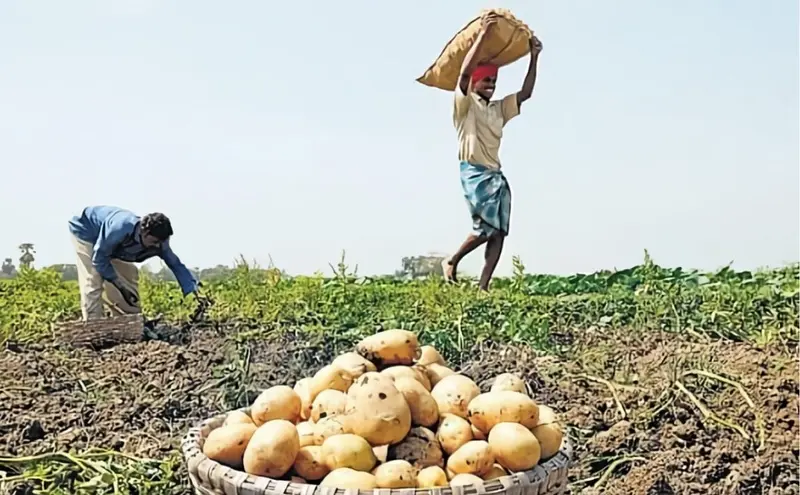 Govt approves major crop buyouts for farmers