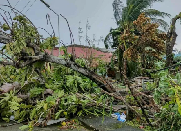Death toll from Typhoon Bualoi in Vietnam touches 11