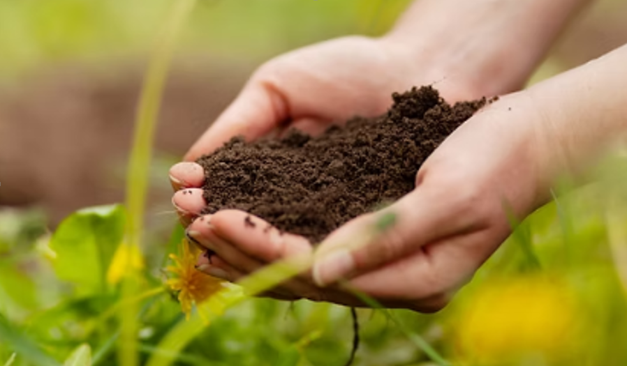 Youth Awareness Campaign on Sustainable Farming to be Held in Mandya Tomorrow