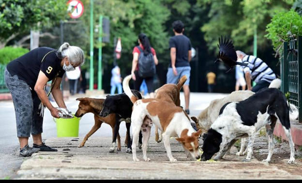 Dog-Waste Bengaluru