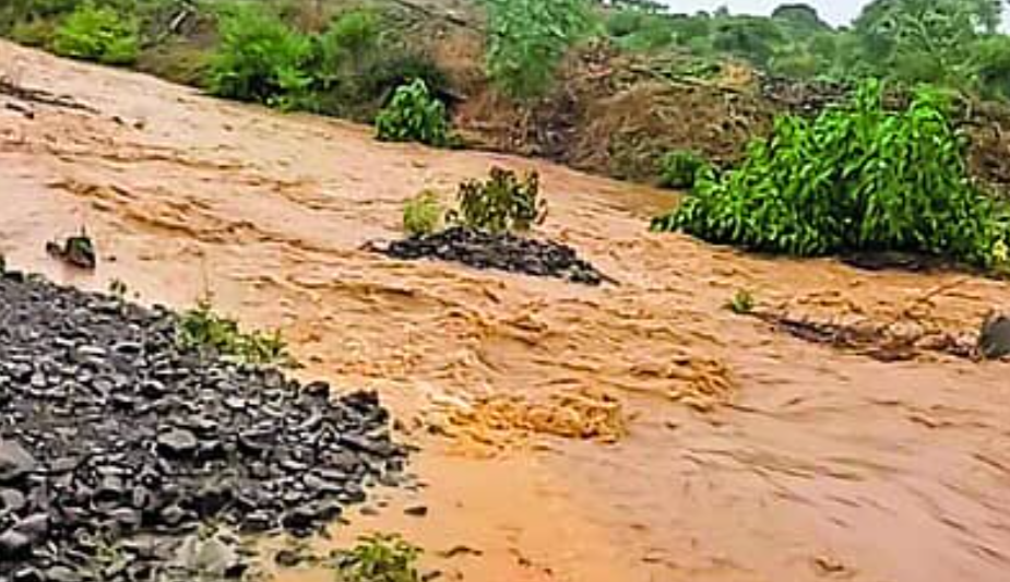 Aland and Afzalpur rain brings relief to farmers
