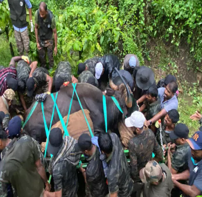 Hakkimakki village sees major wildlife capture operation