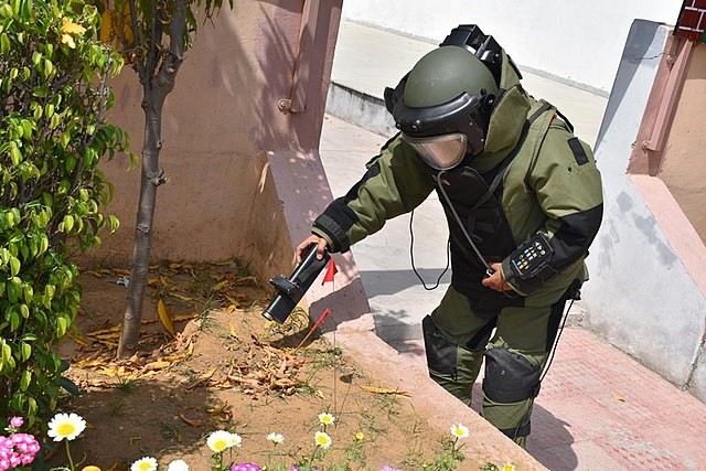 Echoes of Fear: The Menace of Bomb Hoaxes Gripping India