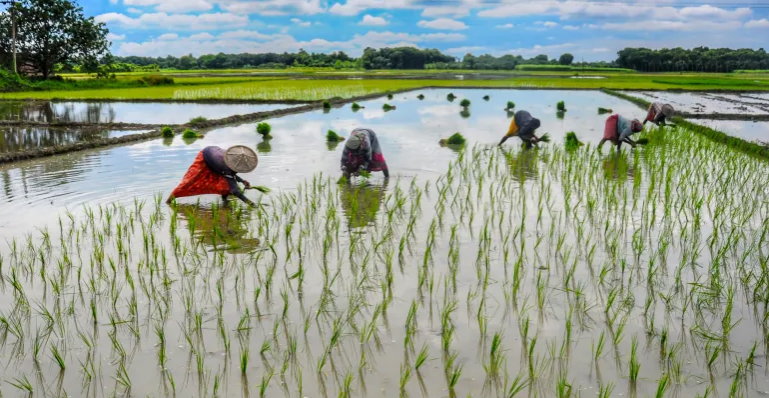 El Nino threatens inflation outlook despite strong buffers