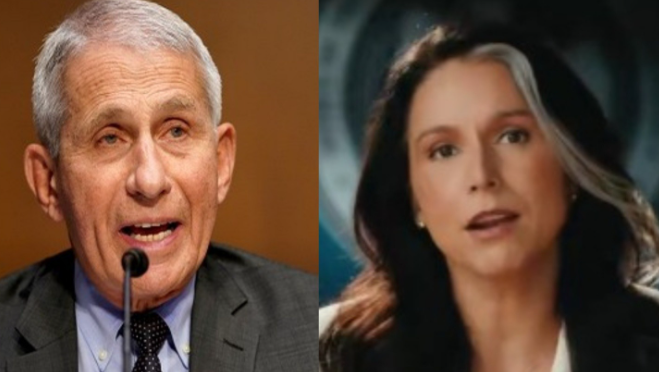 Gabbard alleges Fauci funded Wuhan research in final DNI remarks