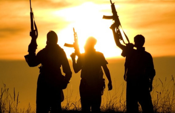Pak looks to replace flagged OGWs in J&K