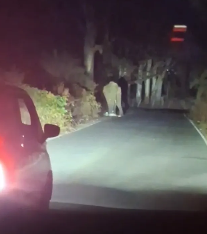 Wild elephants block roads, enter Kulume Palya near Bannerghatta