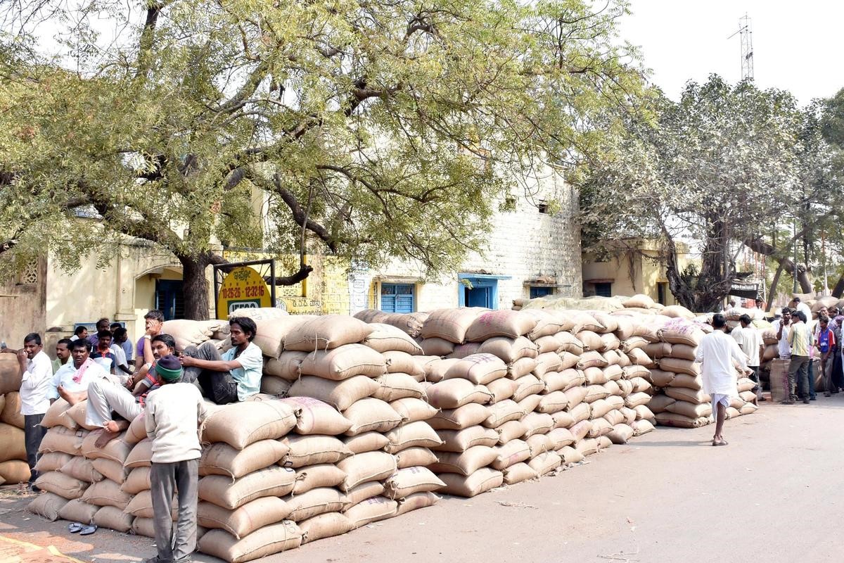 Tur Dal procurement centres launched under MSP
