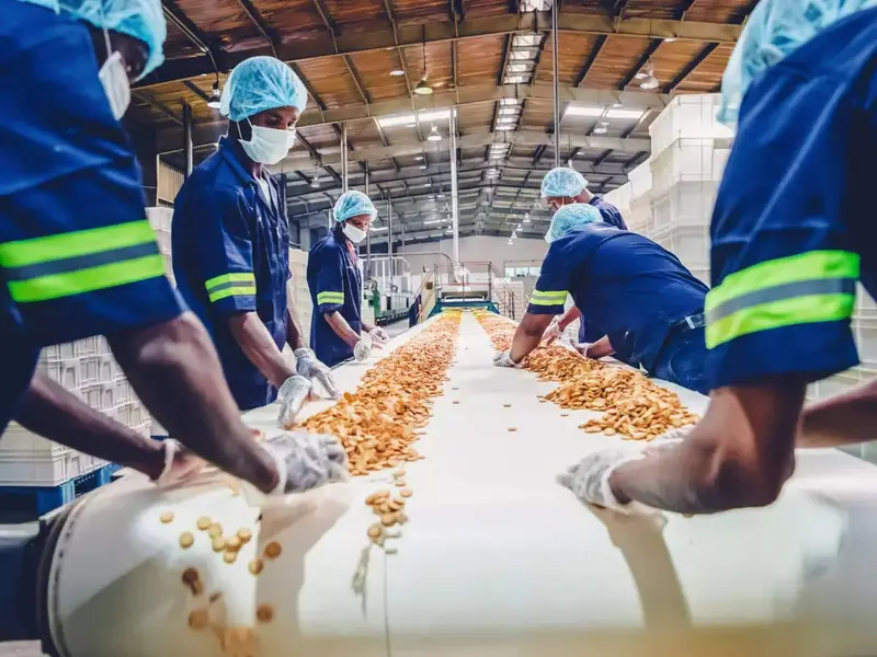 Food schemes key driver of local growth, job creation