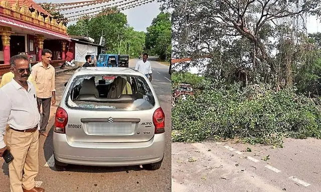 Forest officer narrowly escapes death from tree
