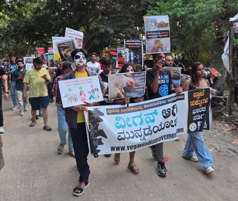 Activists Hold Campaign to Prevent Cruelty to Animals