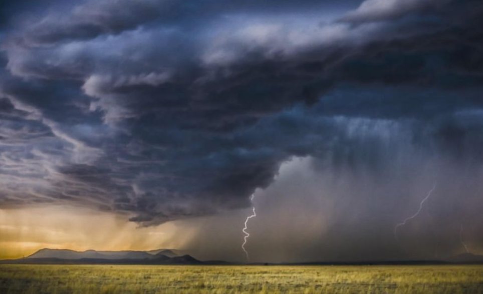 Kalaburagi sets record sowing target for monsoon season