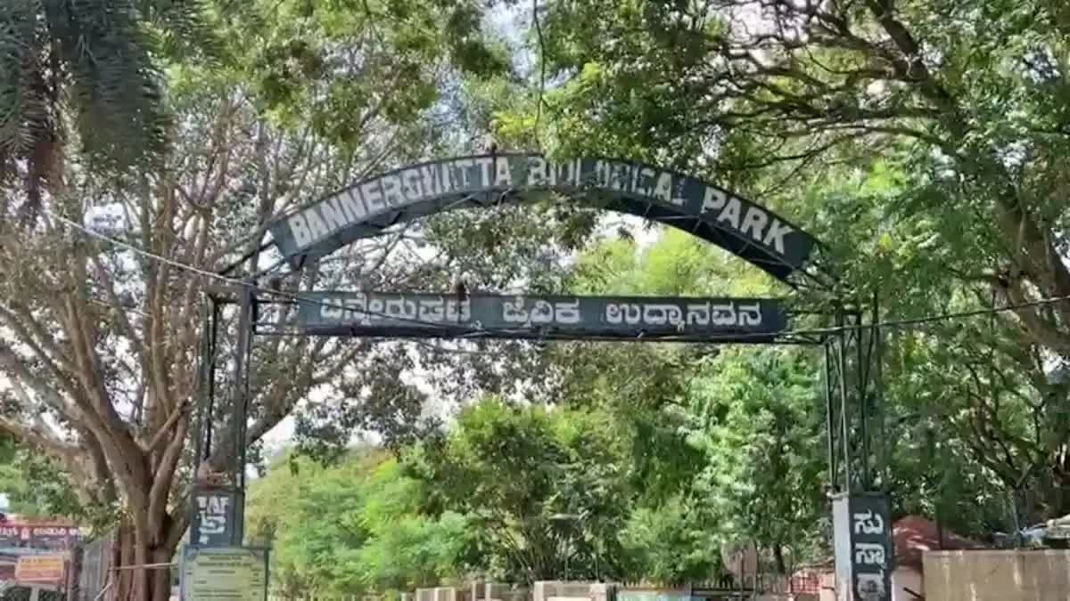 Cabinet approves state-of-the-art aquarium at Bannerghatta Biological Park