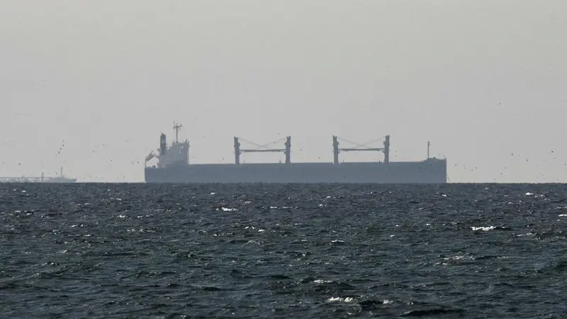 UAE Signals Support For Force To Reopen Hormuz Strait