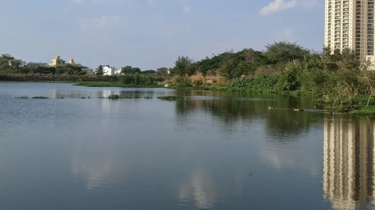 Hulimavu lake revival gets push
