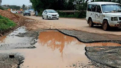 Villagers Perform Pumpkin Puja to Protest Pothole-Ridden Varthur–Balagere Road