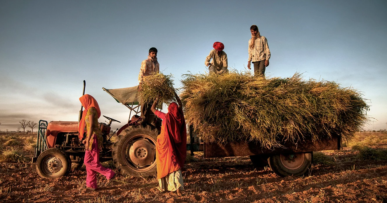 Rural India sees rising consumption, income growth