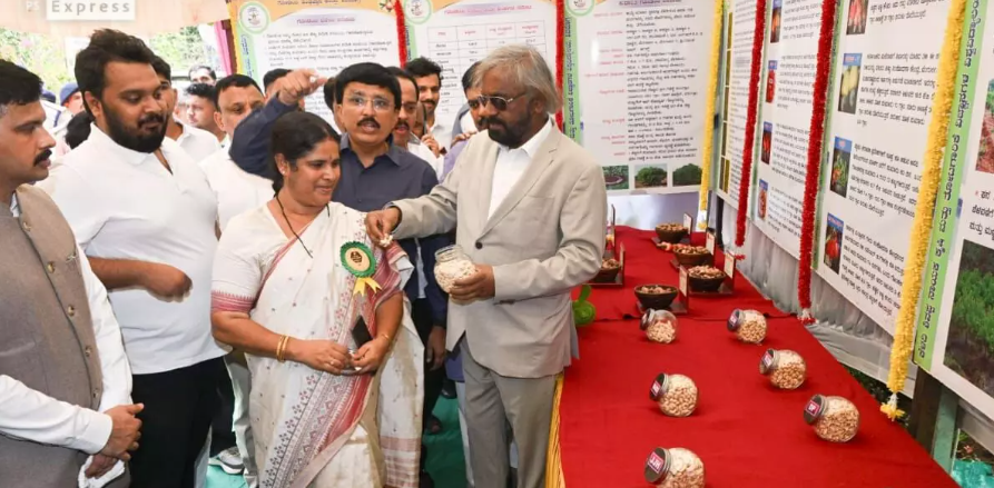 Karnataka aims for self reliance in cashew production