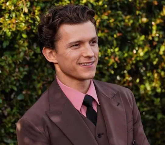 Tom Holland recovering after mild concussion