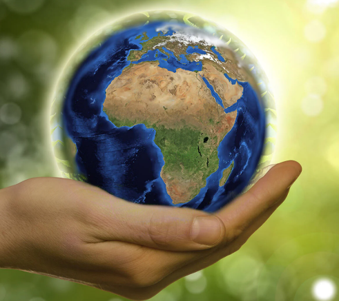Renewable Energy Investment in 2025: Shaping a Sustainable Future