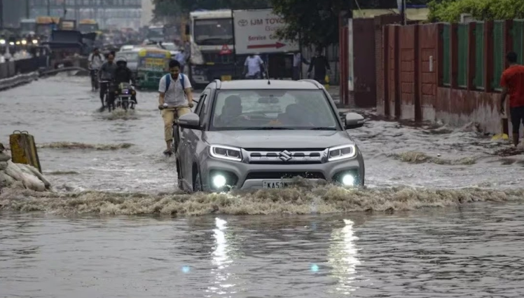 Heavy rain disrupts Bengaluru, five cattle killed